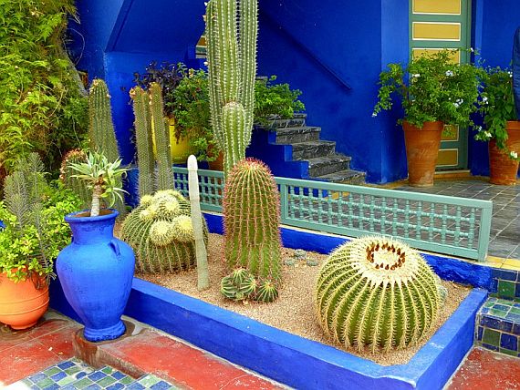 марокканский стиль, растения, интерьер