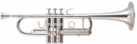 trumpet_14-1
